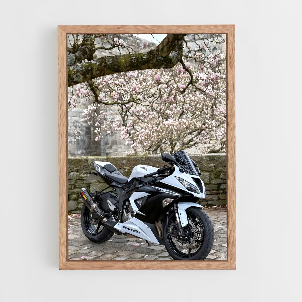 Poster Ninja en Liberté (vue 4)